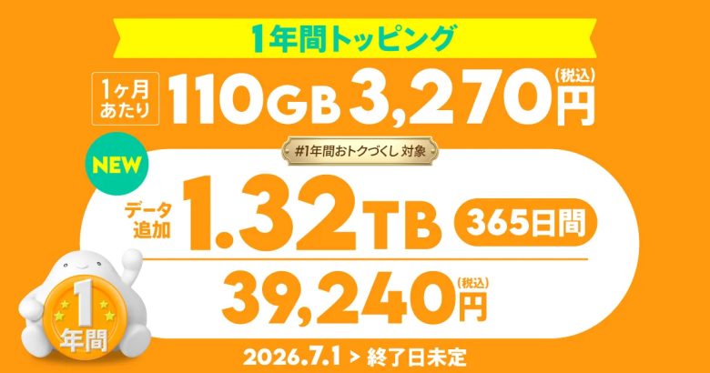 povo_1.32TBトッピング
