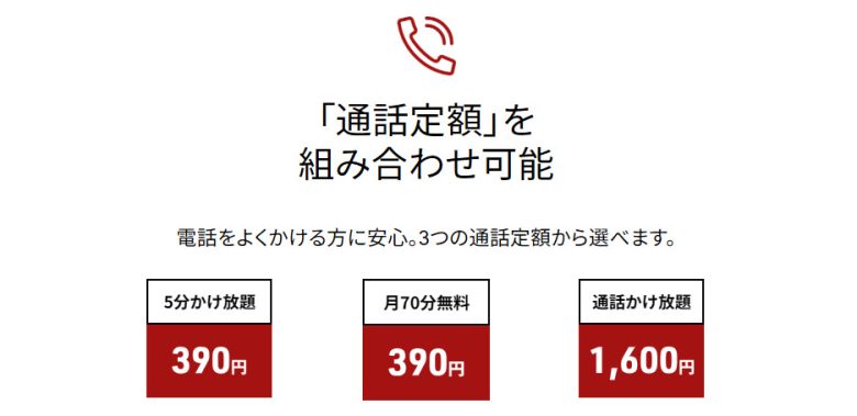 通話オプション