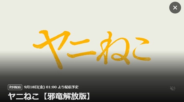 ヤニねこ