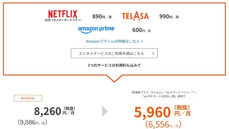 使い放題MAX+ 5G 4G Netflixパック(P)