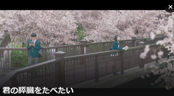 君の膵臓をたべたい