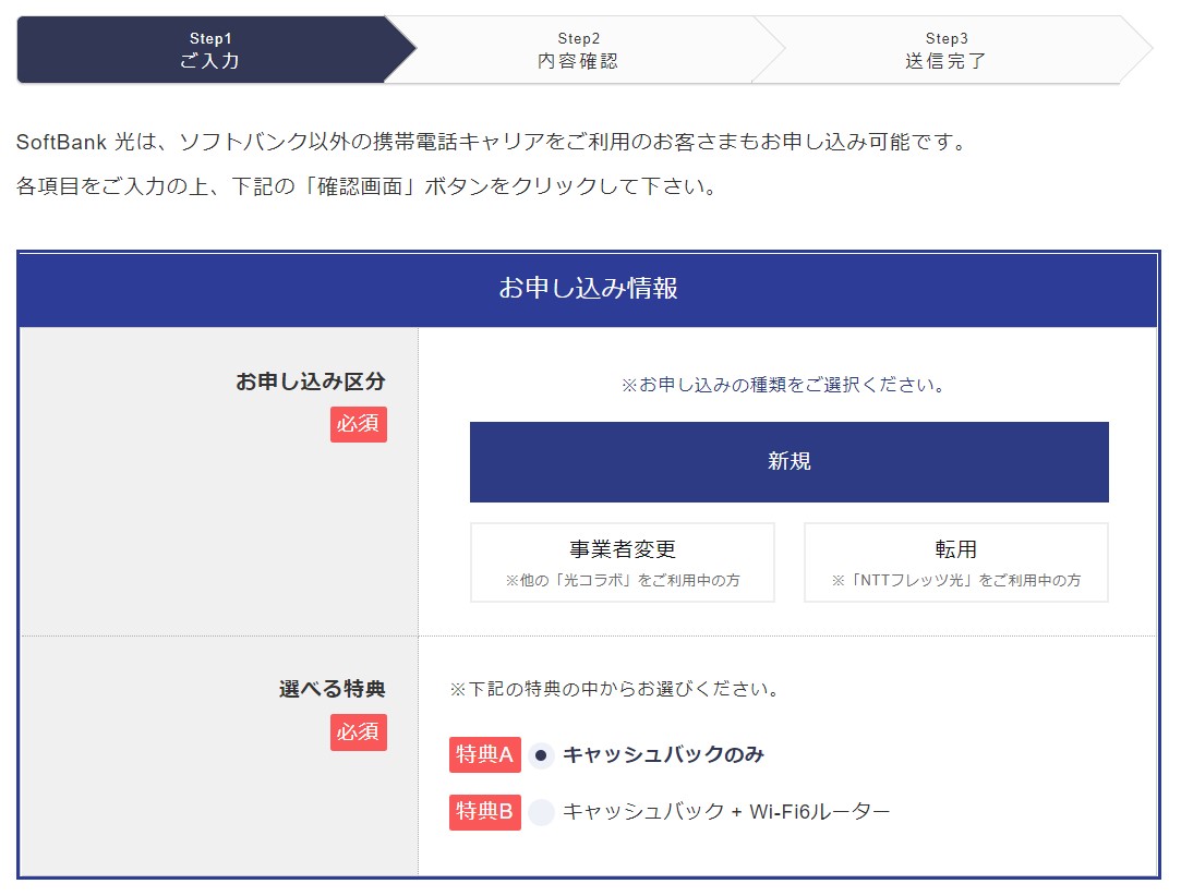 エヌズカンパニーの申し込み手順②:申し込み区分と特典を選択する