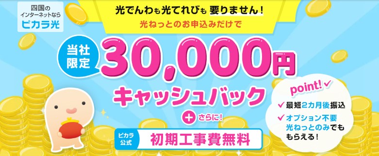 ピカラ光はNEXTから申し込みがおすすめ