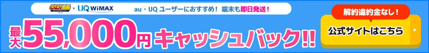 とくとくBB×WiMAXの追尾バナー