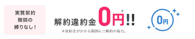 ビッグローブ光_1ギガ違約金無料