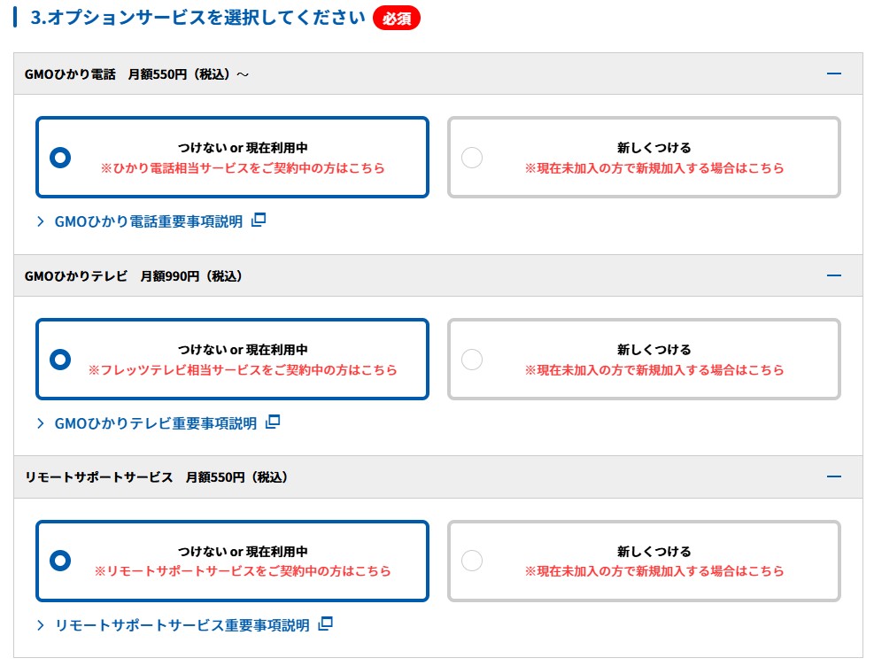 GMOとくとくBB光 オプションタイプ選択